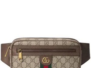 Gucci Ophidia GG belt bag