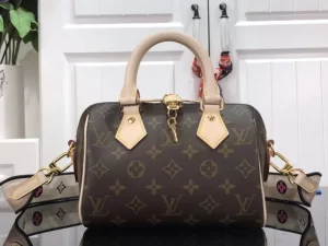 Louis Vuitton Reps Bags Sac Speedy 20 Monogram M41114